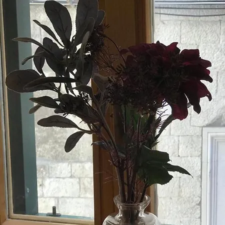 아파트 Cosmijeva Luxury 스플리트